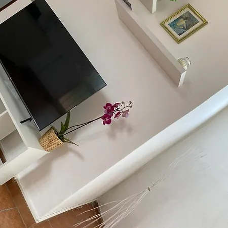 Casa Vacanze Orchidea-2