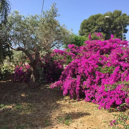 La casa di Marta-2