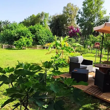 B&B Tifeo-2