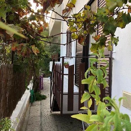 Il Gelso Nella Valle-3