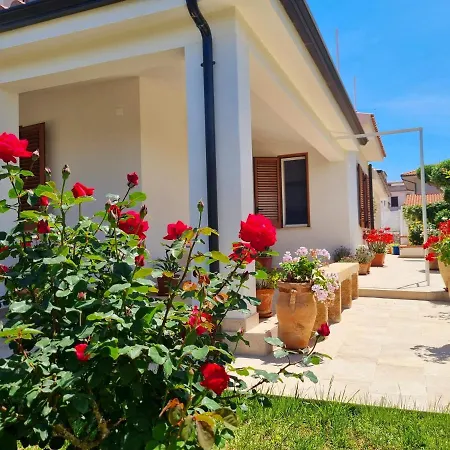 Kleade B&B-3