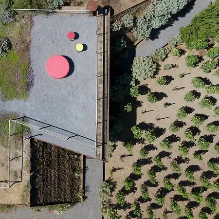 Tenuta Di Castellaro Winery & Resort-2