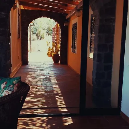 Villa Elisa - Oasi Mediterranea --3