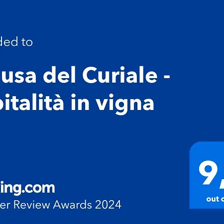 Chiusa del Curiale - ospitalità in vigna-2