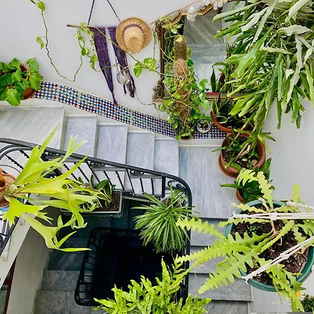Alvorada Rooms-2