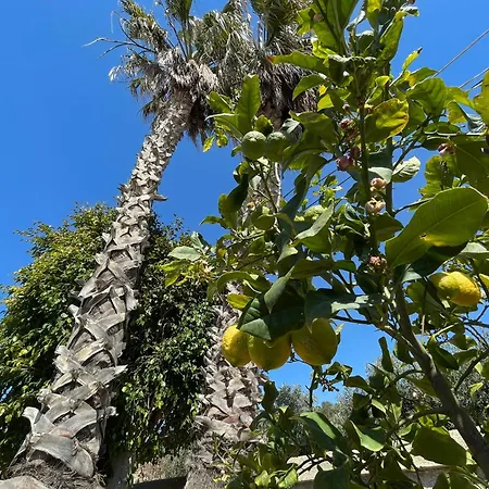 Villa Silvana-3