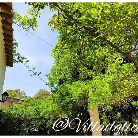 Villa Il Glicine-2