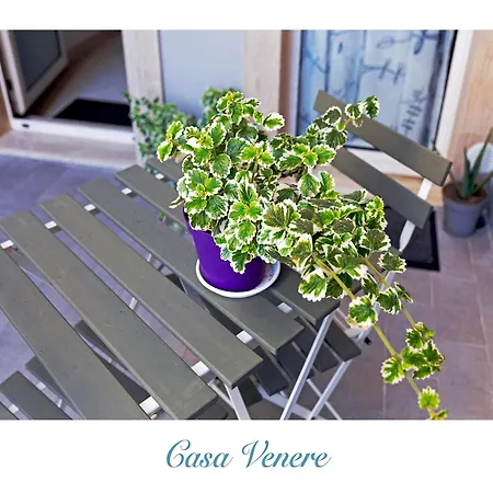 Casa Venere-3