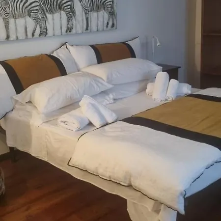 Maison Canopée-3