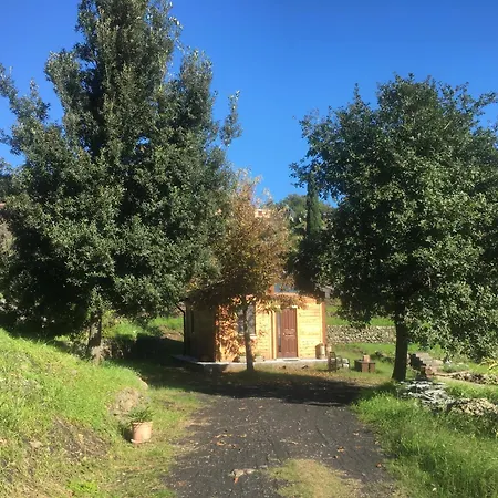 Alberto Mt Etna B&B&Holiday rentals-2