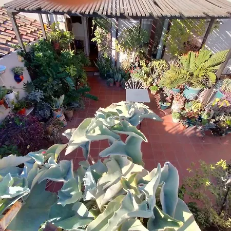 Crociferi B&B-3