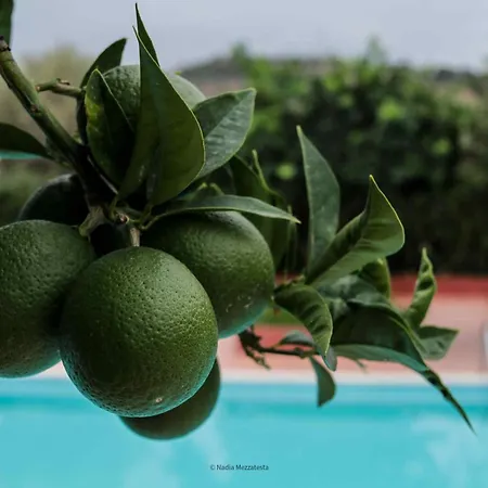 Il Casale il Sole e la Margherita-3