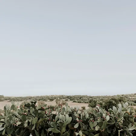 Bibbia- Tenuta di Campagna-3