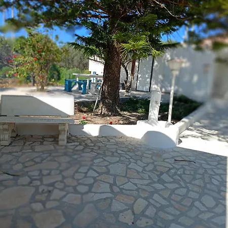 Capinera-2