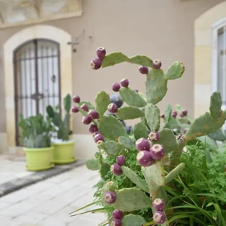 La Piazzetta-2