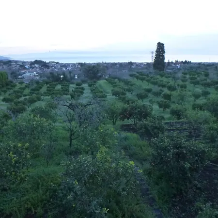 Baglio Delle Rose-3