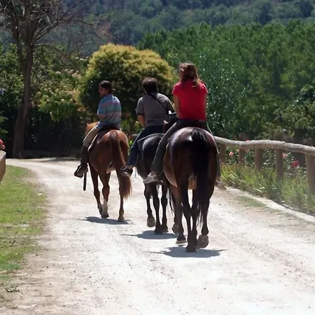 Agriturismo Savoca-2