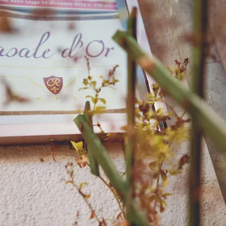 Casale D' Or-2
