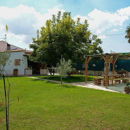 Filuvespri-3