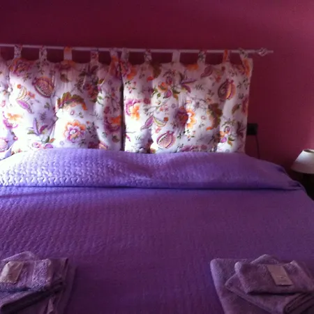B&B Xenia-3