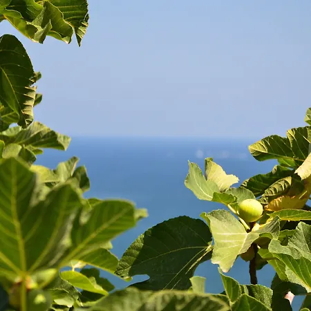 Blue Island Villa Caterina-3
