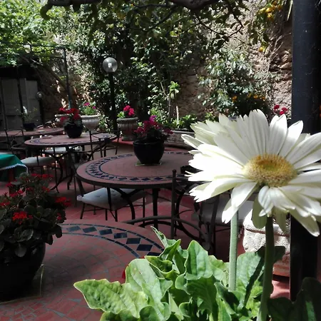 Montevergini B&B Centro Barocco-3