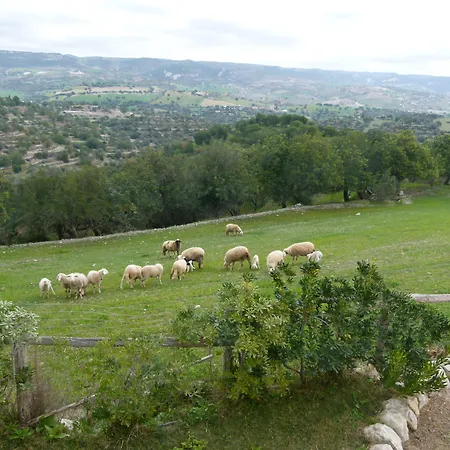 Agriturismo Villa Gaia-3