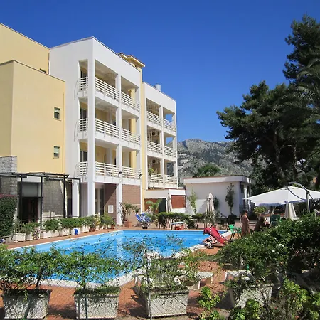 Hotel Conchiglia D'Oro-3