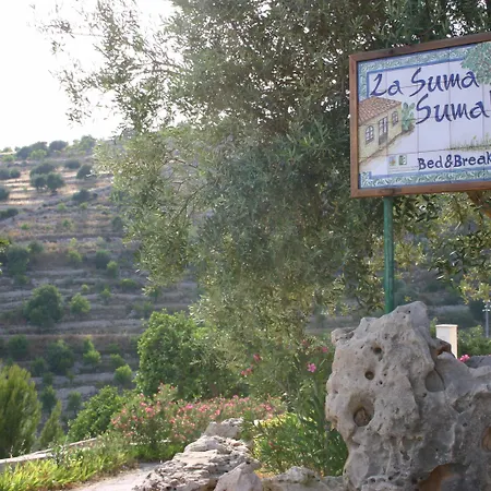 La Suma Sumalia-3