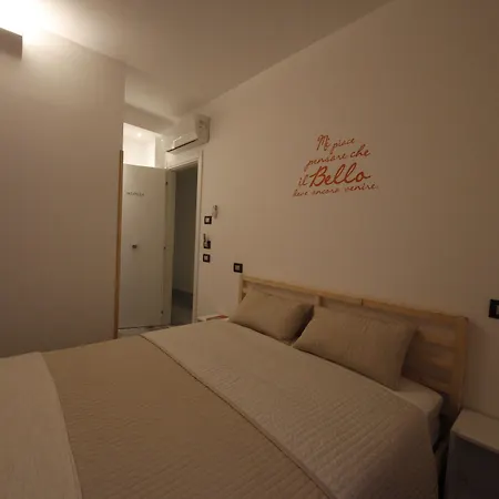Nicadomus B&B-2
