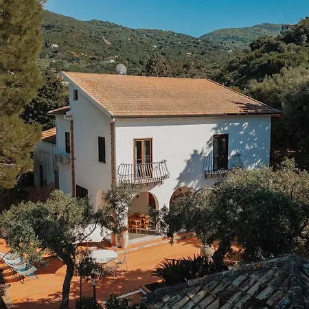 Villa Toto Resort-2