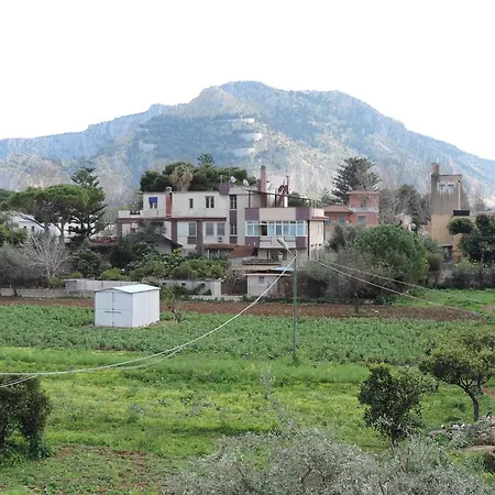 Bed&Breakfast Il Girasole-3