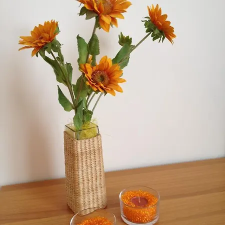 Orange Paradise B&B-2