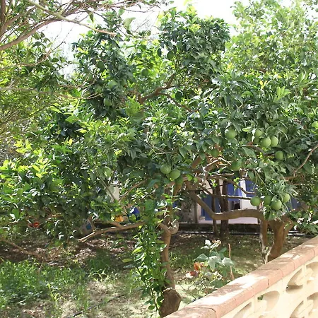 B&B Giarrizzo-2