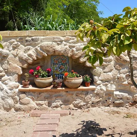 Guest House Al Giardino dei Limoni-2