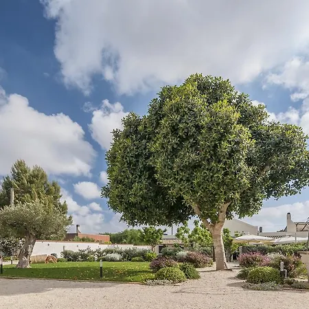 Casale Dome-2