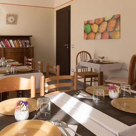 B&B Cafisu-2