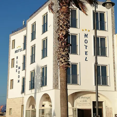 Blue Moon Hotel-3