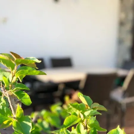 Villa Sofia Capo Milazzo-3