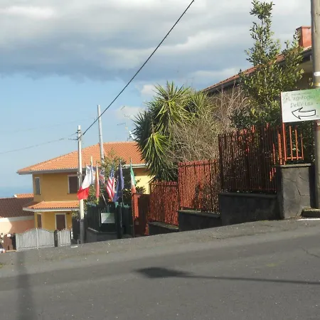 L'Agrifoglio Dell'Etna-2