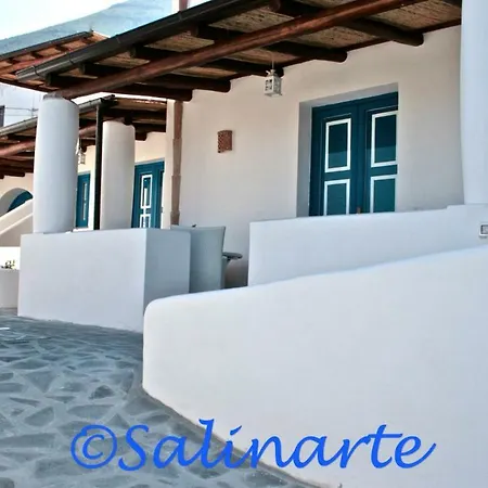 Salinarte-3