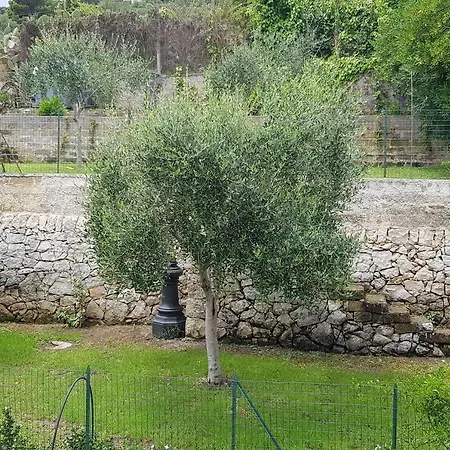 Villa Arcile'S Bay-3