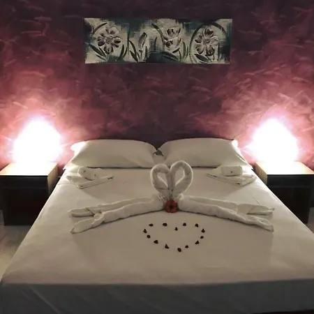 B&B Contesse-3