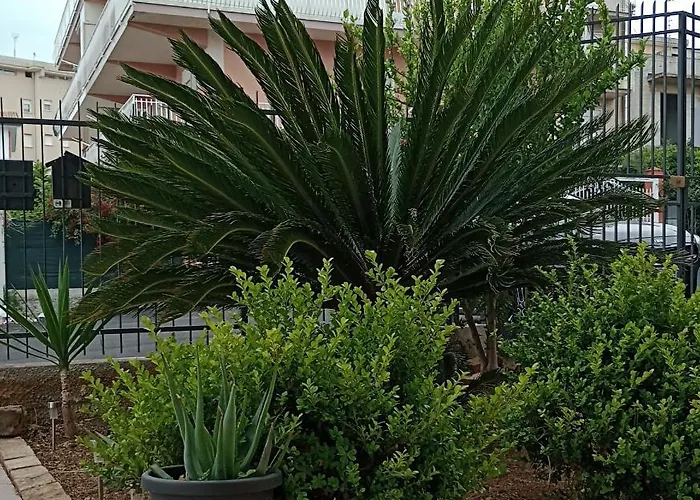 Bed and Breakfast La Cycas Trabia