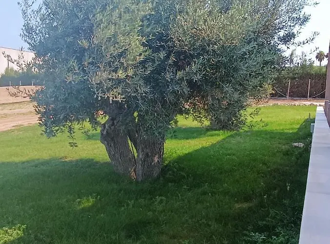 Il Cappero Bed And Breakfast Marzamemi
