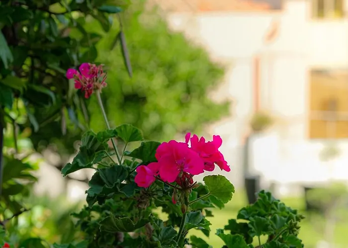 Bed and Breakfast L'Antico Borgo Milazzo