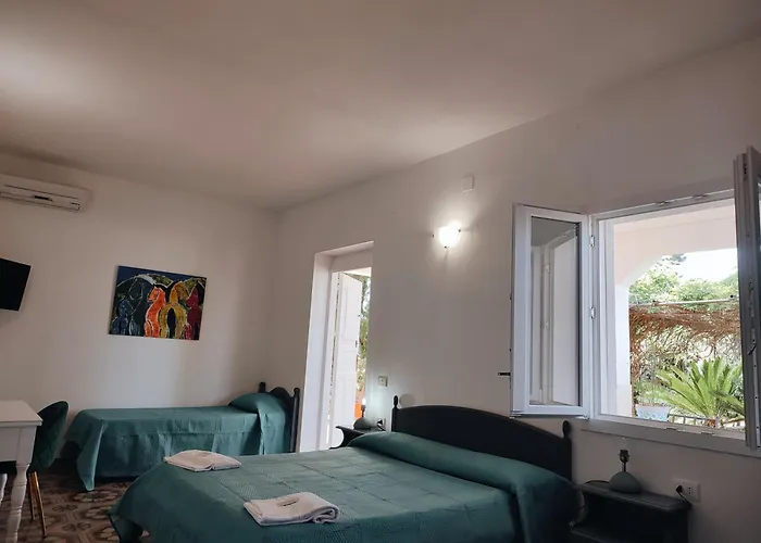 Bed and Breakfast La Via Del Mare Arenella 