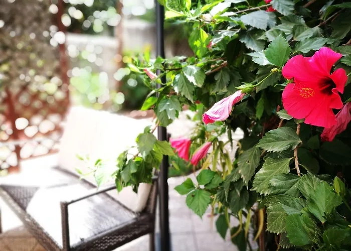 Bella Palermo Bed and Breakfast