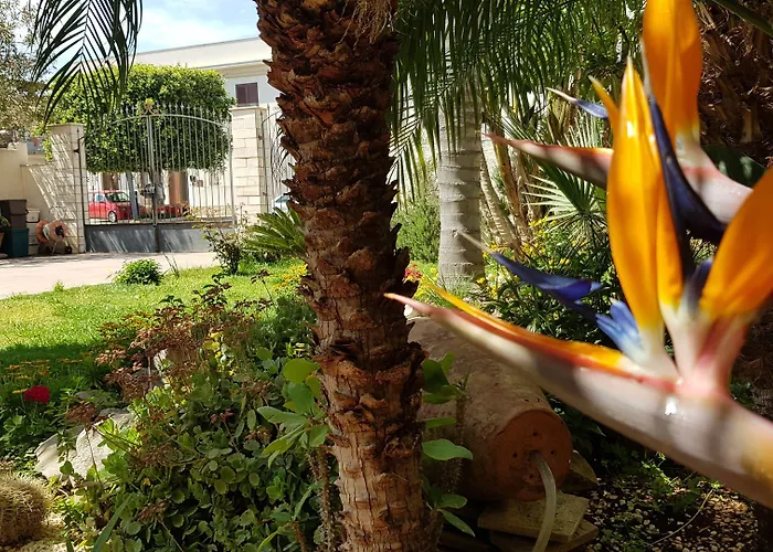 Mariposa B&B San Vito Lo Capo