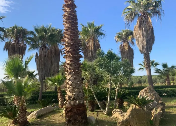 Villa delle Palme Delfina - parking Piscina a 10 minuti dal centro e dal mare Trapani